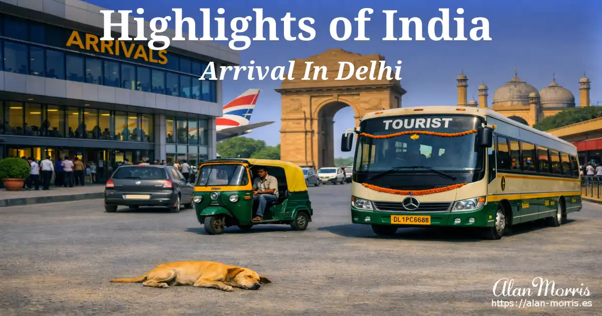 Thin tan street dog sleeping on Delhi road near airport arrivals, tuk‑tuk and tourist bus behind.