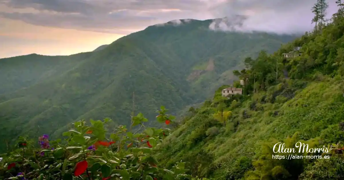 Blue Mountains, Jamaica.
