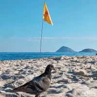 copacabana beach08