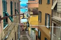 genoa17