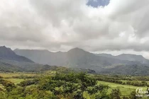 kauai17