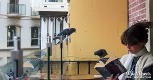 malaga15