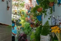 patio festival26