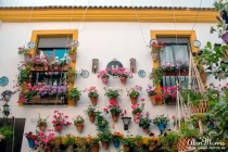 patio festival27
