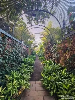 botanical4 botanical4