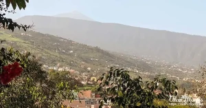 oratava3 oratava3