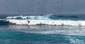 surfers1 surfers1