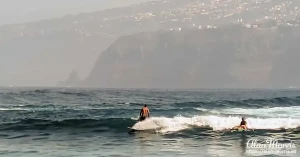 surfers2 surfers2