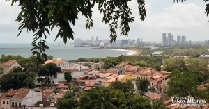 olinda7