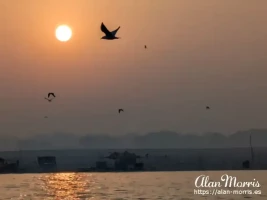 Birds fly across the sun as it rises over the River Ganges.