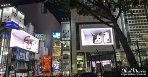 Cat dissapearing and reappearing in video screens Cat dissapearing and reappearing in video screens