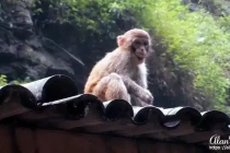 xiling gorge20