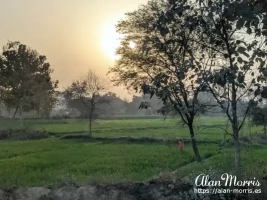 The sun setting over the fields near Chandwak.